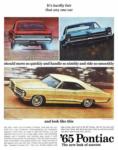 Pontiac 1965 25-01.jpg